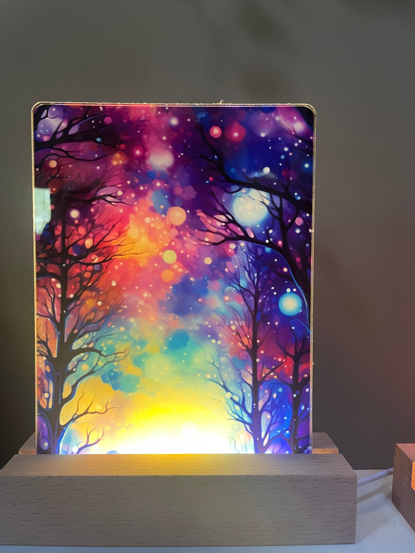 Night Light w/switch
